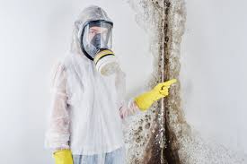 Best Mold Remediation for Healthcare Facilities  in Hubbard, TX